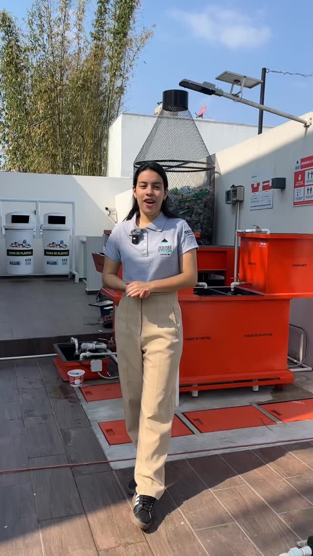 Instagram post from zeolitas.mx. This post is in position 3.